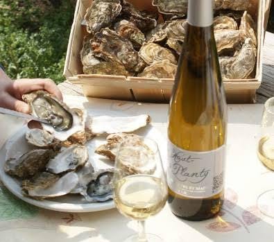Dégustation d'huîtres et de muscadet, spécialités de l'Échappée Gourmande